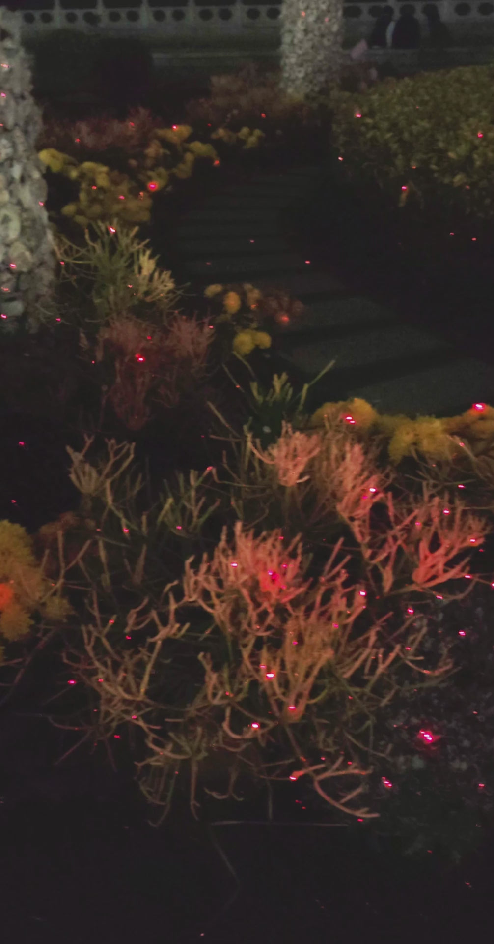 Load video: Twelvetooo HW09 Firefly Lights Mini