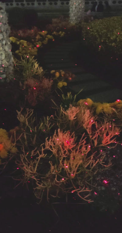 Twelvetooo HW09 Firefly Lights Mini